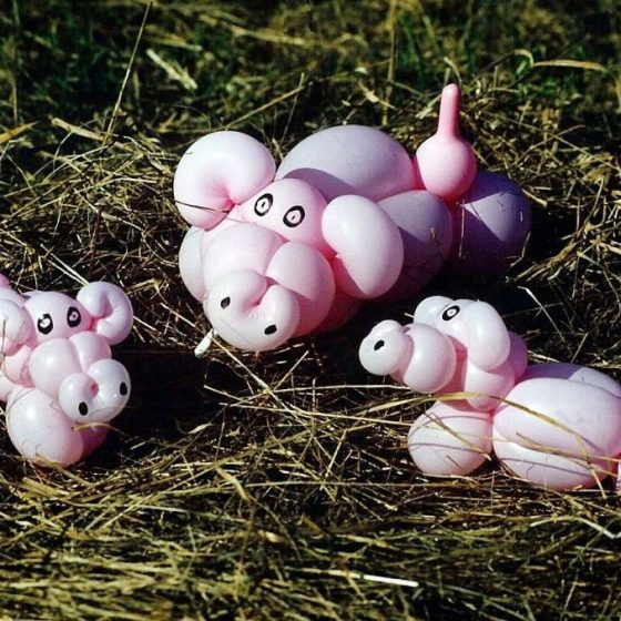 Ballonshow-Ballonfiguren-Schweine